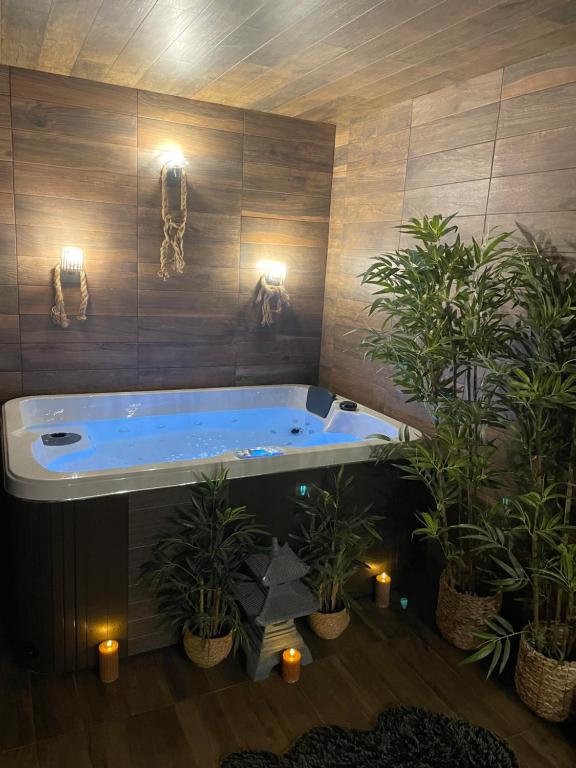 BY NEPTUNE - Appartement BALI Jacuzzi - Chambres d'hôtes Boissy-Saint-Léger