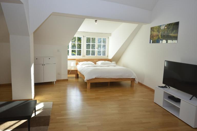 Loft in the historical center - Symbol 4 - Ferienwohnung Zürich