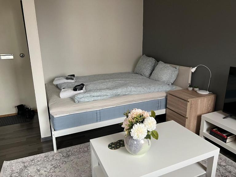 Kaarlelankatu Studio - B&B Kokkola