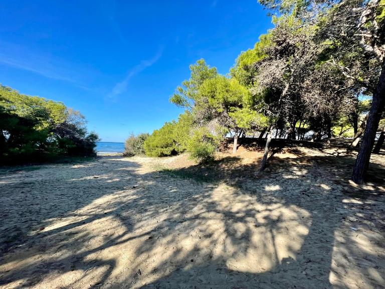 Gallipoli Tra Mare e Pineta - B&B Rivabella