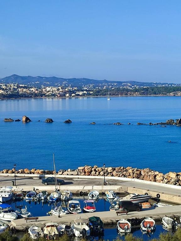 Seaside apartment in Chania - B&B Chania