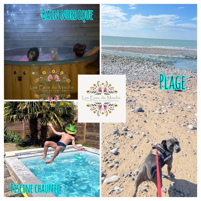 Gîte Les Eaux du Moulin piscine chauffée et jacuzzi - Chambres d'hôtes Vittefleur