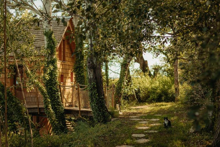 Cabane La Fontaine du Figuier - B&B Saint-Maurice-sur-Eygues