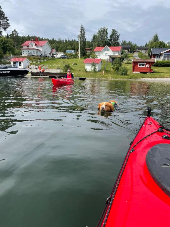 Coastal gem with beach, wooden sauna & canoes - Bed and Breakfast Bjästa