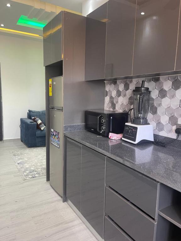 Aster 1BR Apartment,East Legon-Adjiringanor - Ferienwohnung Ogbojo