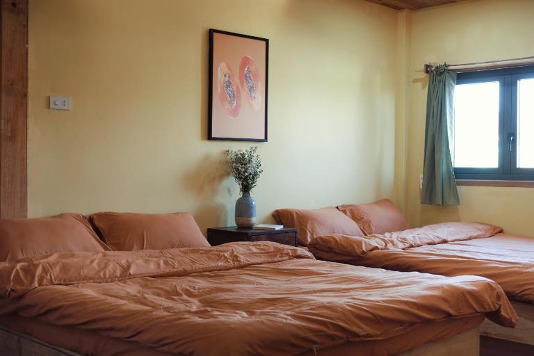 Nhà Đậu Homestay Măng Đen - 75 Võ Thị Sáu - B&B Kon Plong