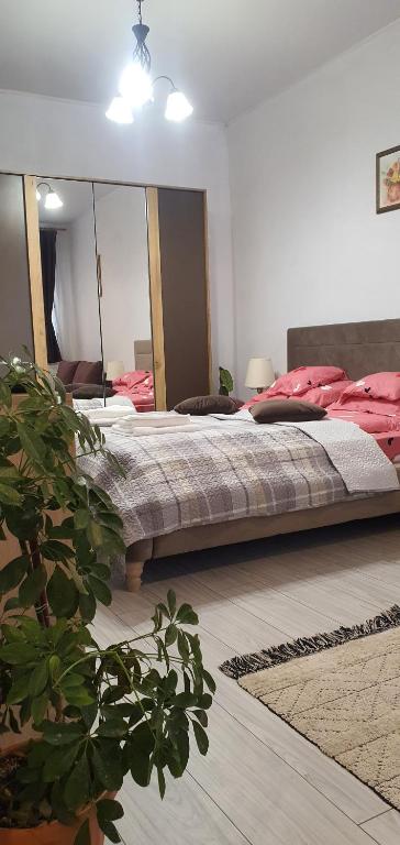 Apartament Ultra-Central Lux -,, AndreCasu ,, - Ferienwohnung Großwardein