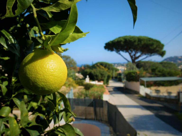 Bel appartement 3 pièces en villa climatisé 800m plage WIFI - B&B Cavalaire-sur-Mer