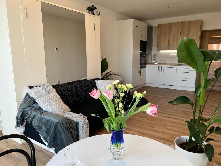 APARTMENT Blue Heaven - B&B Brno