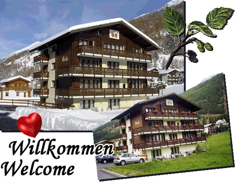 Haus Erle - Ferienwohnung Saas-Grund