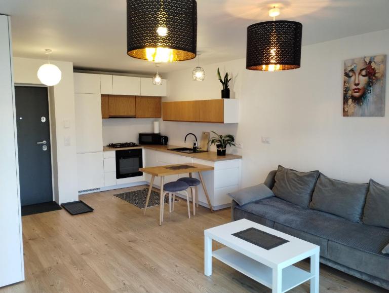 Studio Park Śląski m.10 Katowice/Chorzów - B&B Chorzów