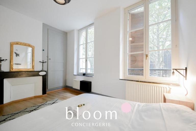 Nancy vieille ville Place St Epvre le 2 chambres des Dames - B&B Nancy