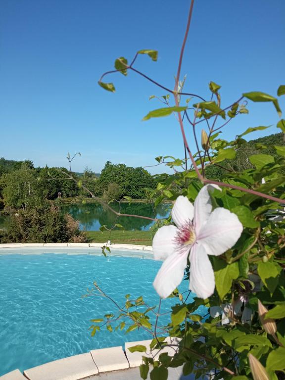 Au combe de canet - Ferienwohnung Anthé