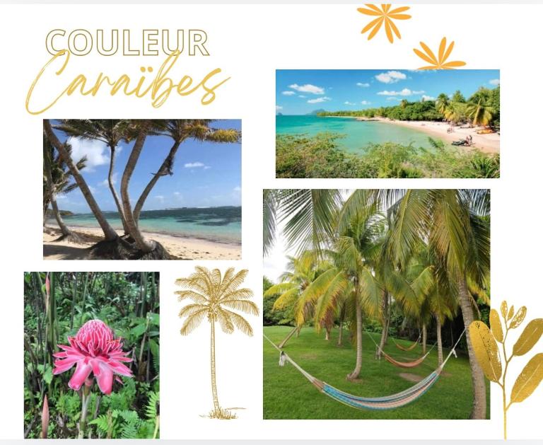 Couleur Caraïbes-Ti rêve appartement vue mer hotel club - B&B Sainte-Luce