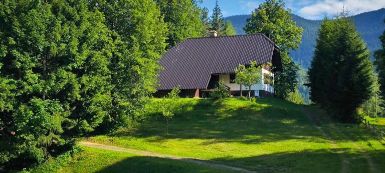 Počitniška hiša Alica - B&B Črna na Koroškem
