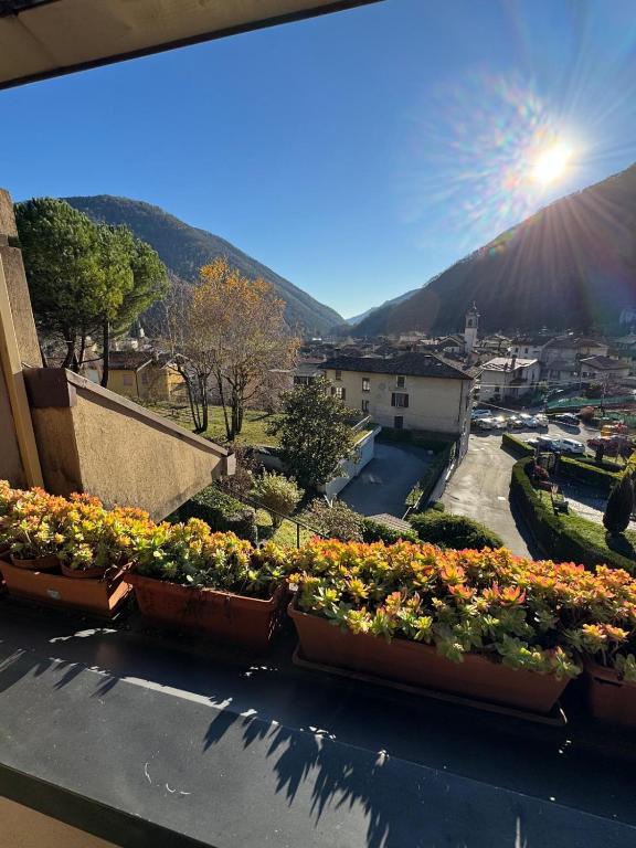 Casa Oliva Little Nest - B&B Barni