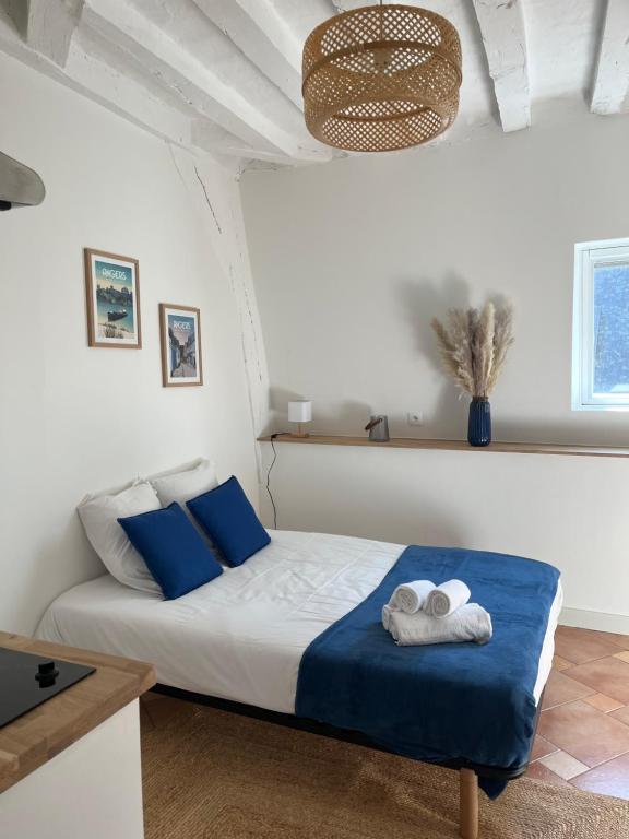 Studio Centre Angers 2 personnes - B&B Angers