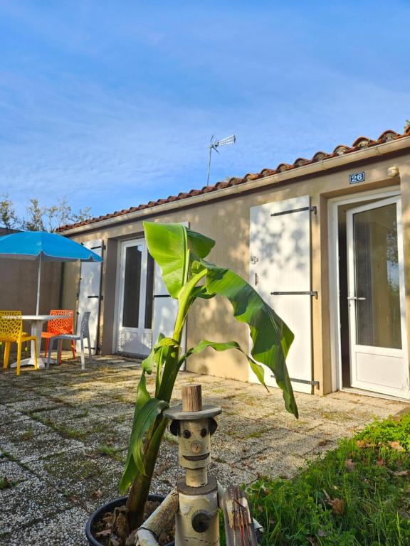 Joli Cottage Confort 1 chambre en forêt au Village Vacances - Bed and Breakfast Mareuil-sur-Lay