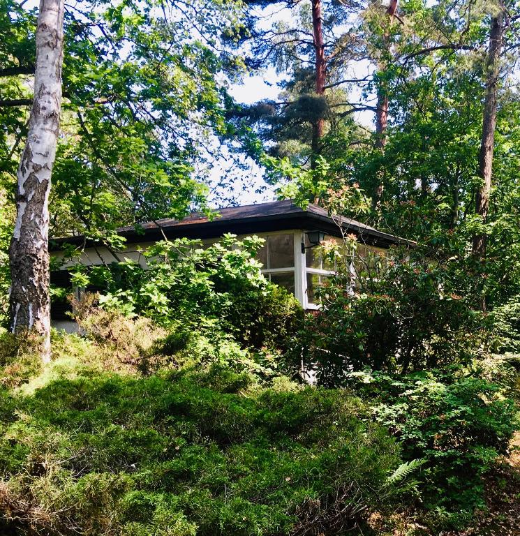 Waldhaus am Meer - Chambres d'hôtes Lubmin
