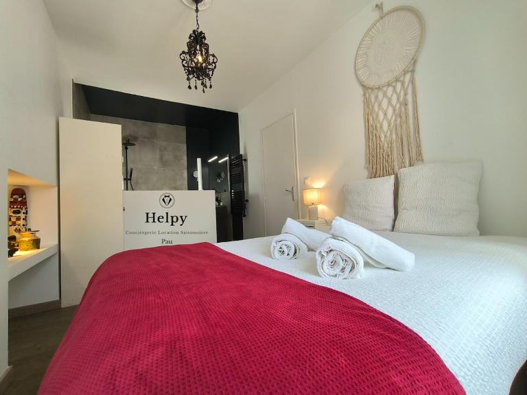 Appartement Centre Ville Cosy - B&B Pau