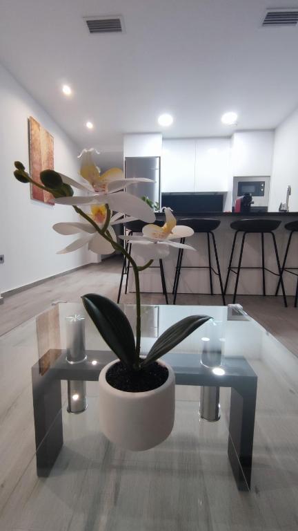 Apartamento Victoria home - Bed and Breakfast Elx