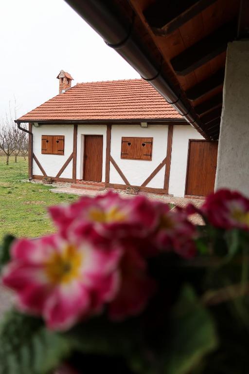 Kuća za odmor Drava - Bed and Breakfast Hlebine