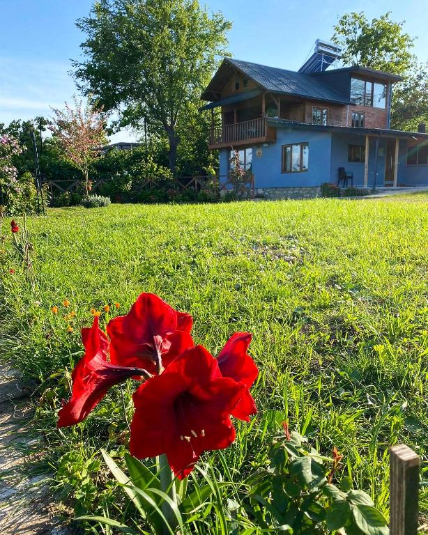 Isabella Kırsal Yaşam Evi - Bed and Breakfast Bağlarca