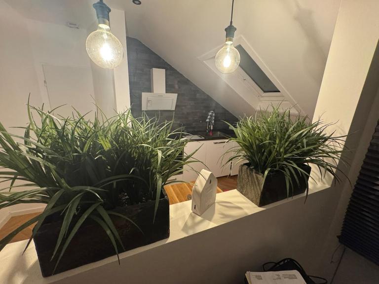 Apartment inklusiver großer Terrasse - Ferienwohnung Andernach
