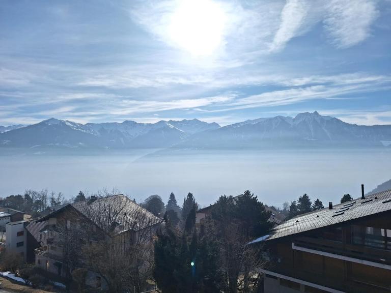 Charming apartment with great view - B&B Ovronnaz