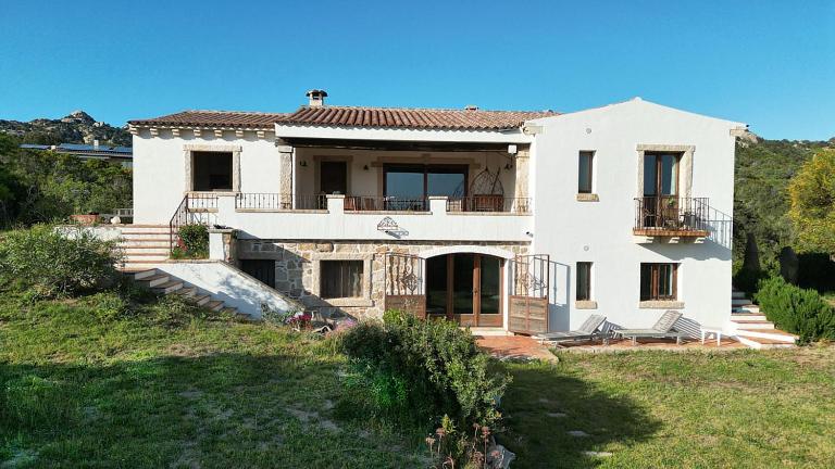 Gallo di Rena - B&B Arzachena
