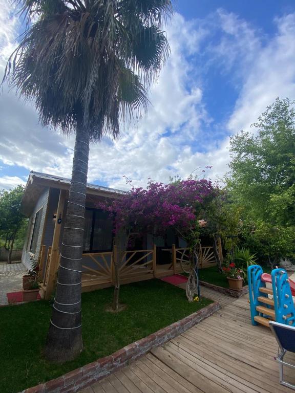 Black Cat Villa's - B&B Kemer