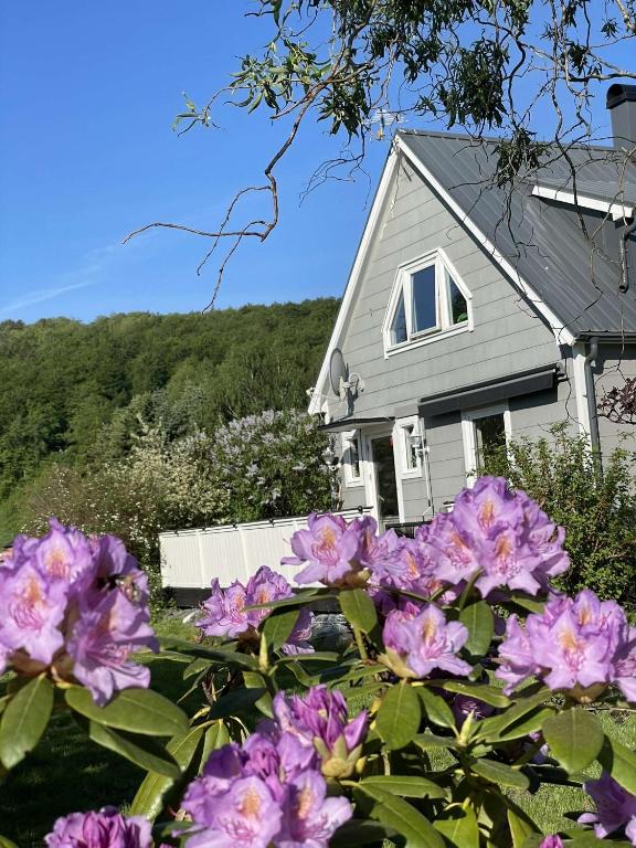 12an i Vånga - B&B Vånga