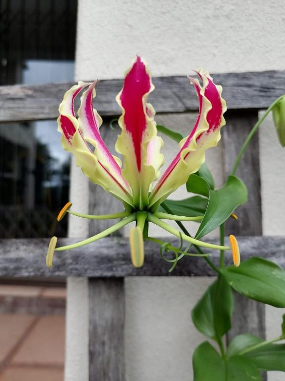 Serenity Place B&B and Conference, wedding venue - B&B Durban