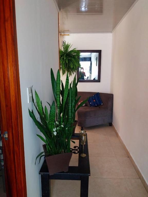 La Casa de Doña Gilma en Pijao - B&B Pijao