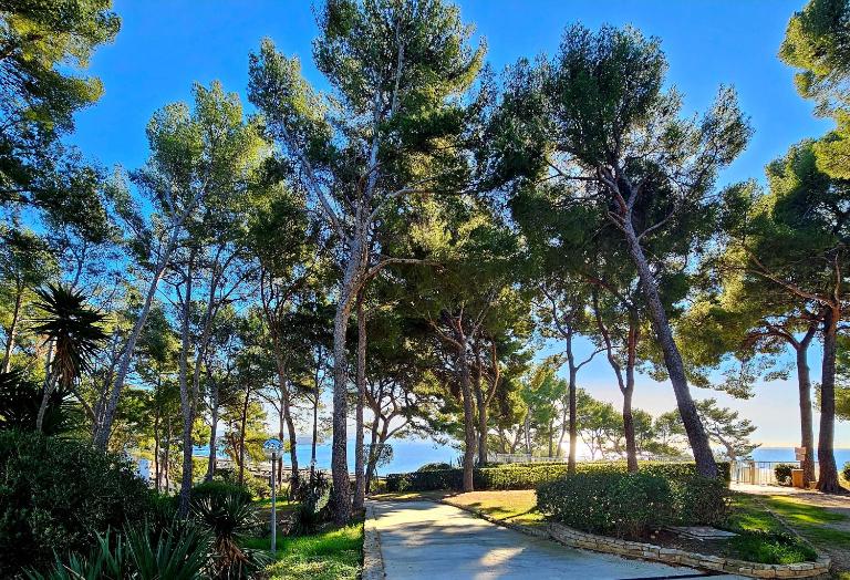 SUPERBE STUDIO DANS CADRE D'EXCEPTION-PISCINE, TENNIS et PLAGE PRIVEE - Chambres d'hôtes Bandol