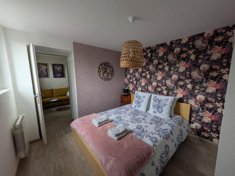ROSE - Appartement entier tout confort et moderne Hyper centre d'ERNÉE - Bed and Breakfast Ernée