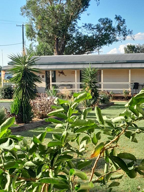 Narromine Aerodrome Tourist Park and Motel - Ferienwohnung Narromine