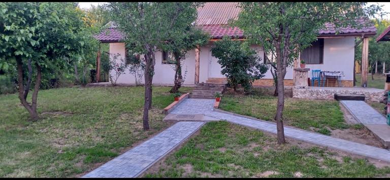 Ferdinánd Guesthouse - Chambres d'hôtes Viile Satu Mare