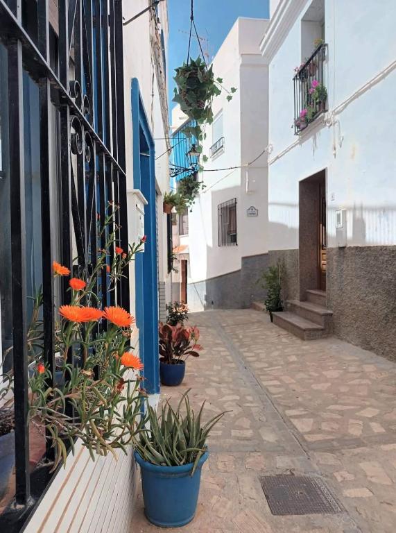 La Kaz Azul - Ferienwohnung Salobreña