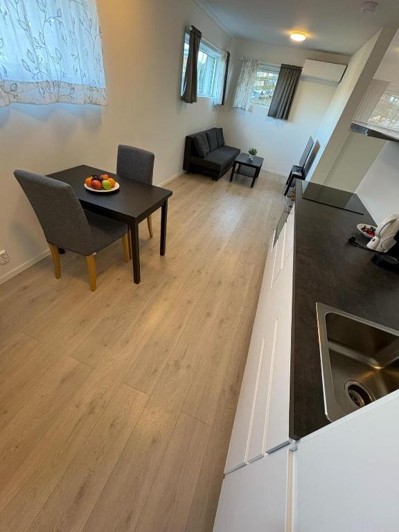 Temis apartment, private new 1 bed room and 1 living room with sofa bed and lagre kitchen, share with nobody - Chambres d'hôtes Oslo