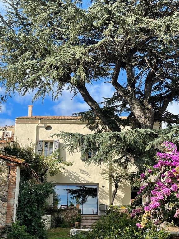 La Bastide du Cèdre - 20 minutes from Collioure - Ferienwohnung Tresserre
