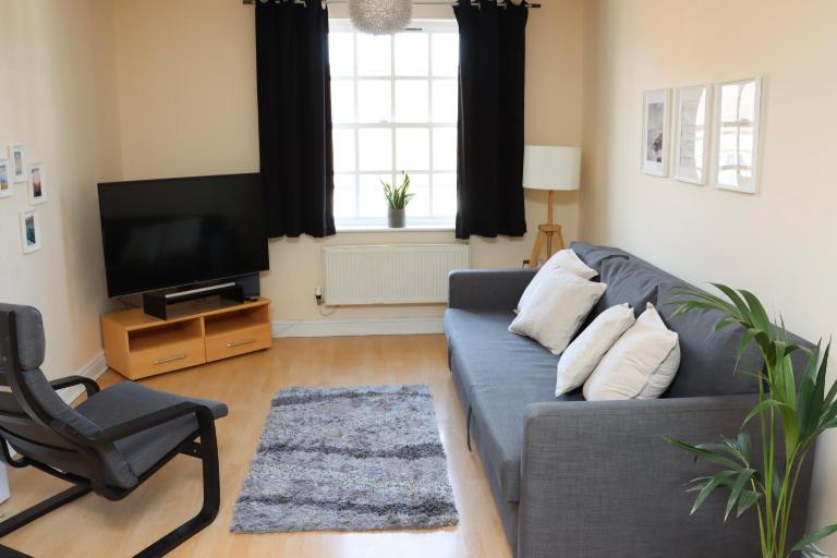 Scandinavian City Centre Apartment - B&B Worcester