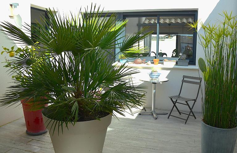 La vie est belle à 10 minutes de La Rochelle - B&B Saint-Xandre