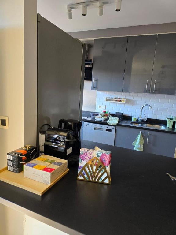 Strelitzyahouse - Bed and Breakfast Brussel