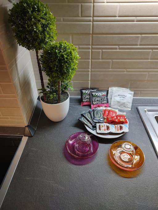 Appartamento 2 camere 1 bagno - Chambres d'hôtes Voghera