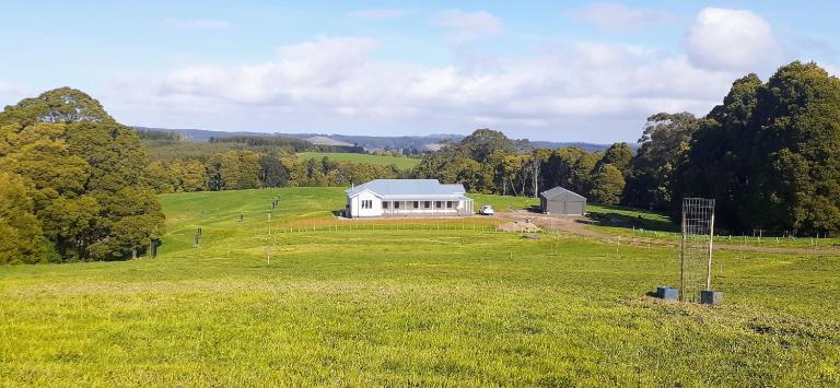 Stunning Top of the Otways Views 3-4 Bedroom House - B&B Beech Forest