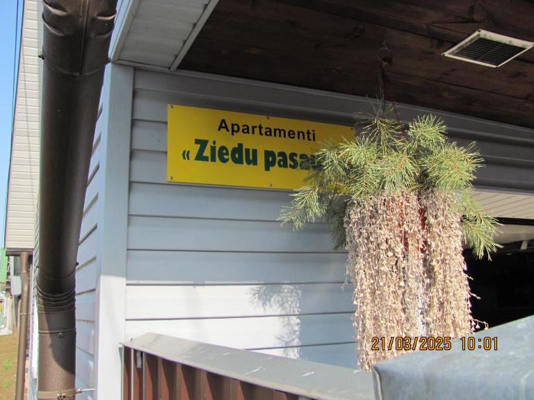 Ziedu pasaule - B&B Krāslava
