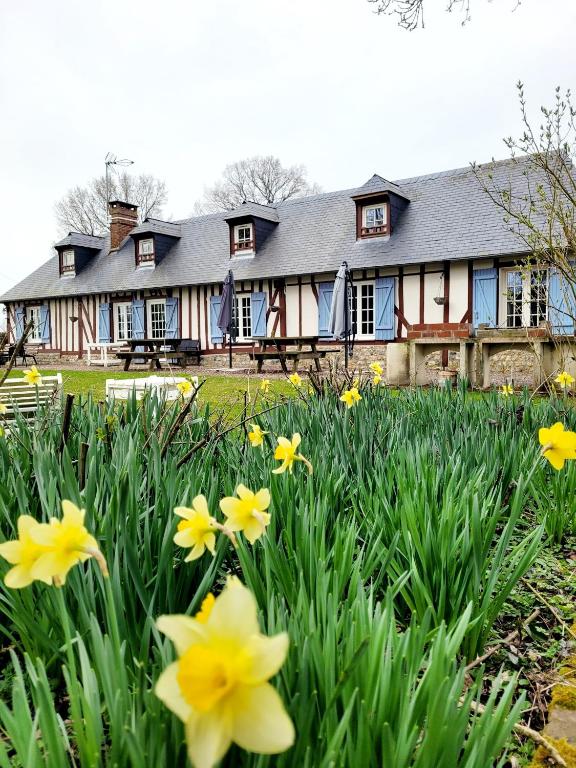 Gîte des Etourniaux - Bed and Breakfast La Poterie-Mathieu