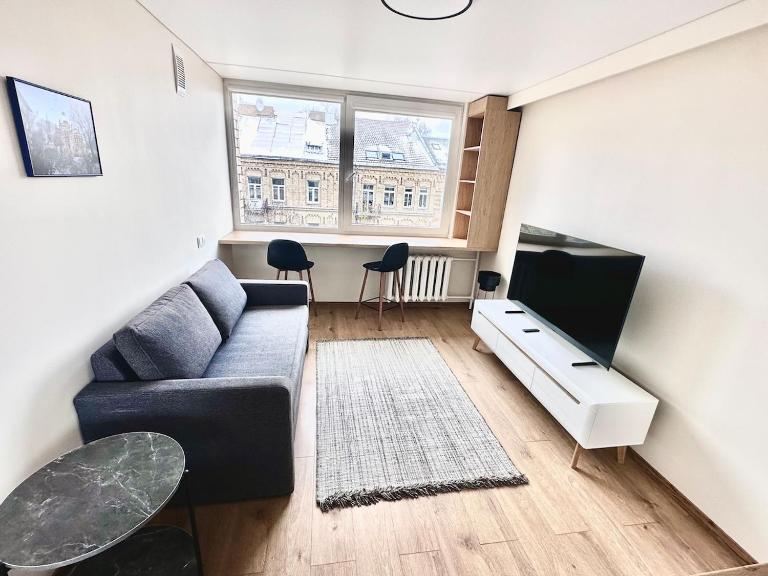 Brand new studio in the center - B&B Vilna