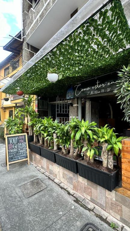 Casa Egos Pop Laureles - Bed and Breakfast Medellín